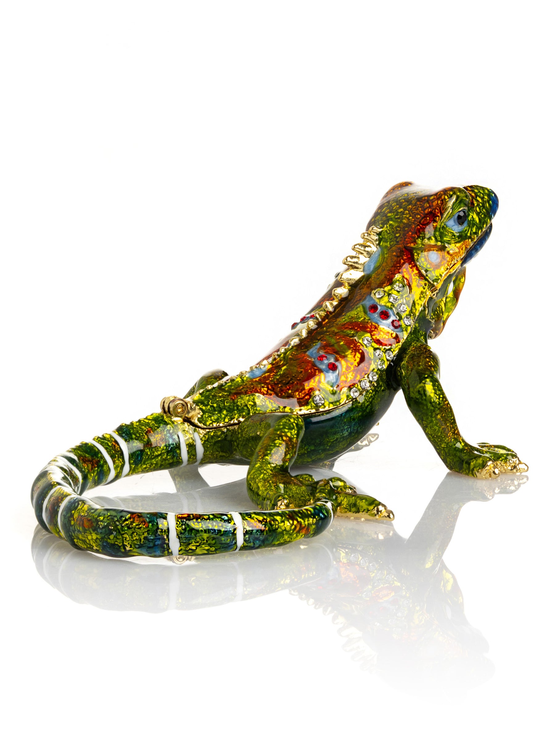 Green Iguana