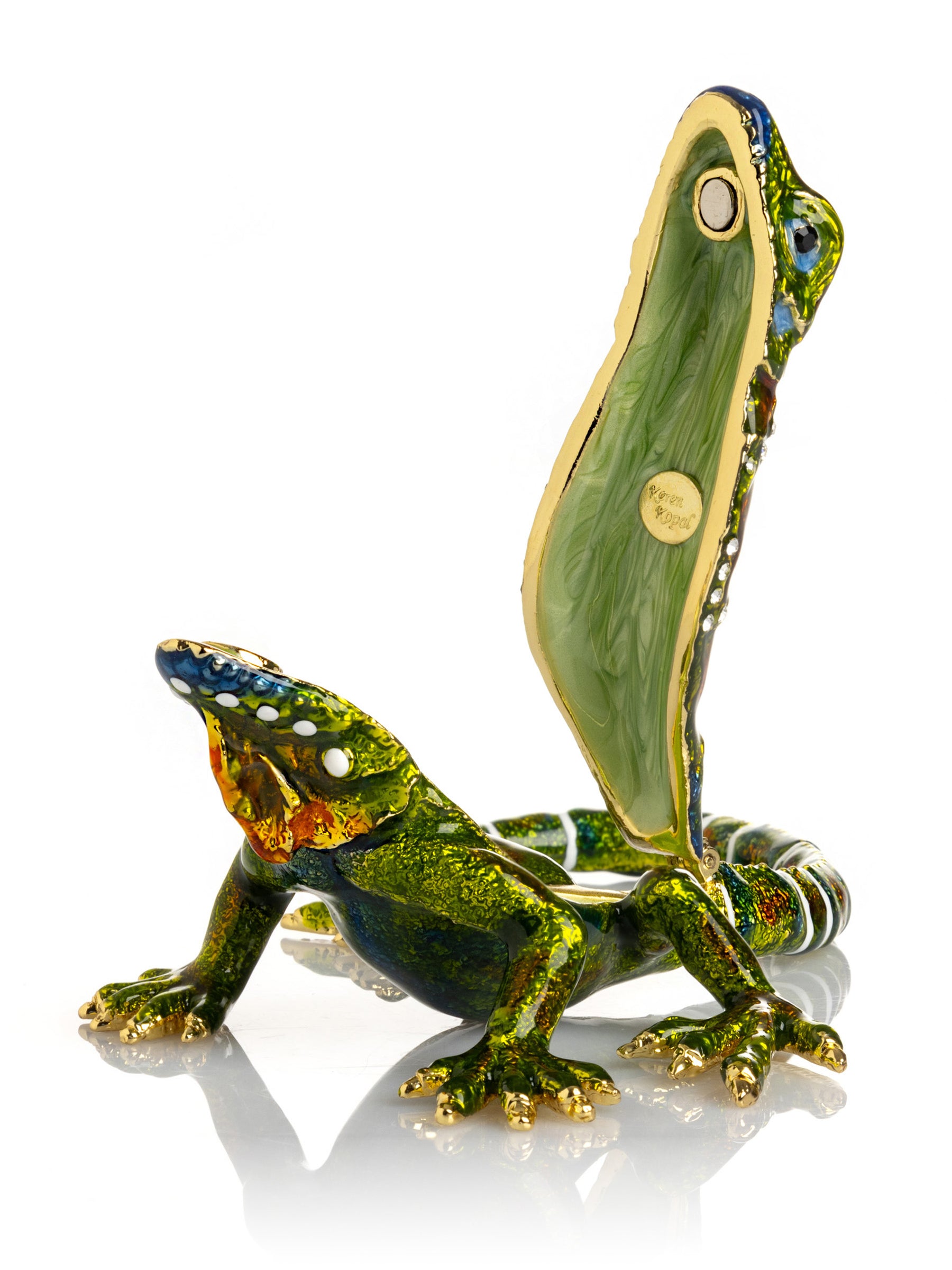 Green Iguana