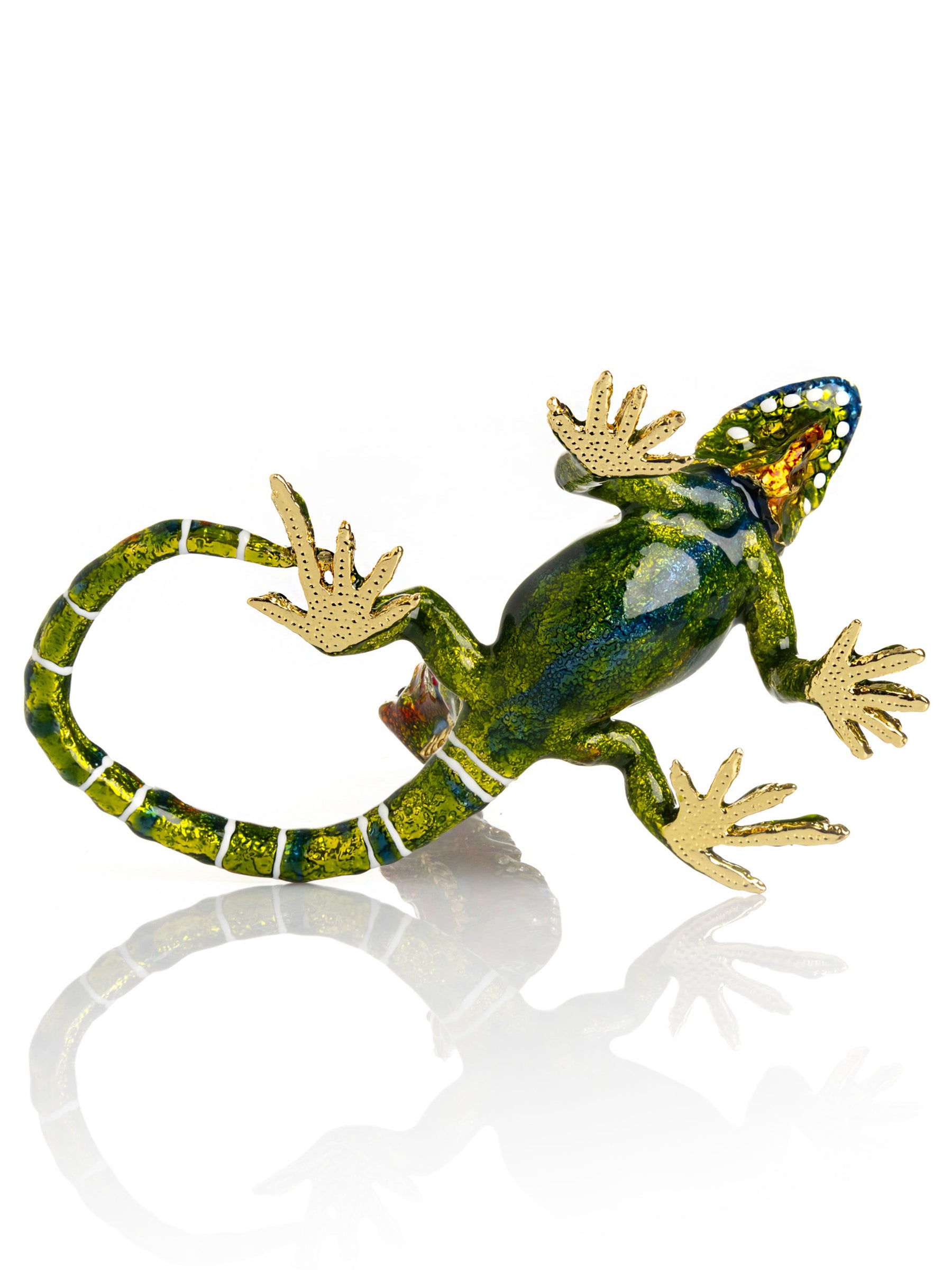 Green Iguana