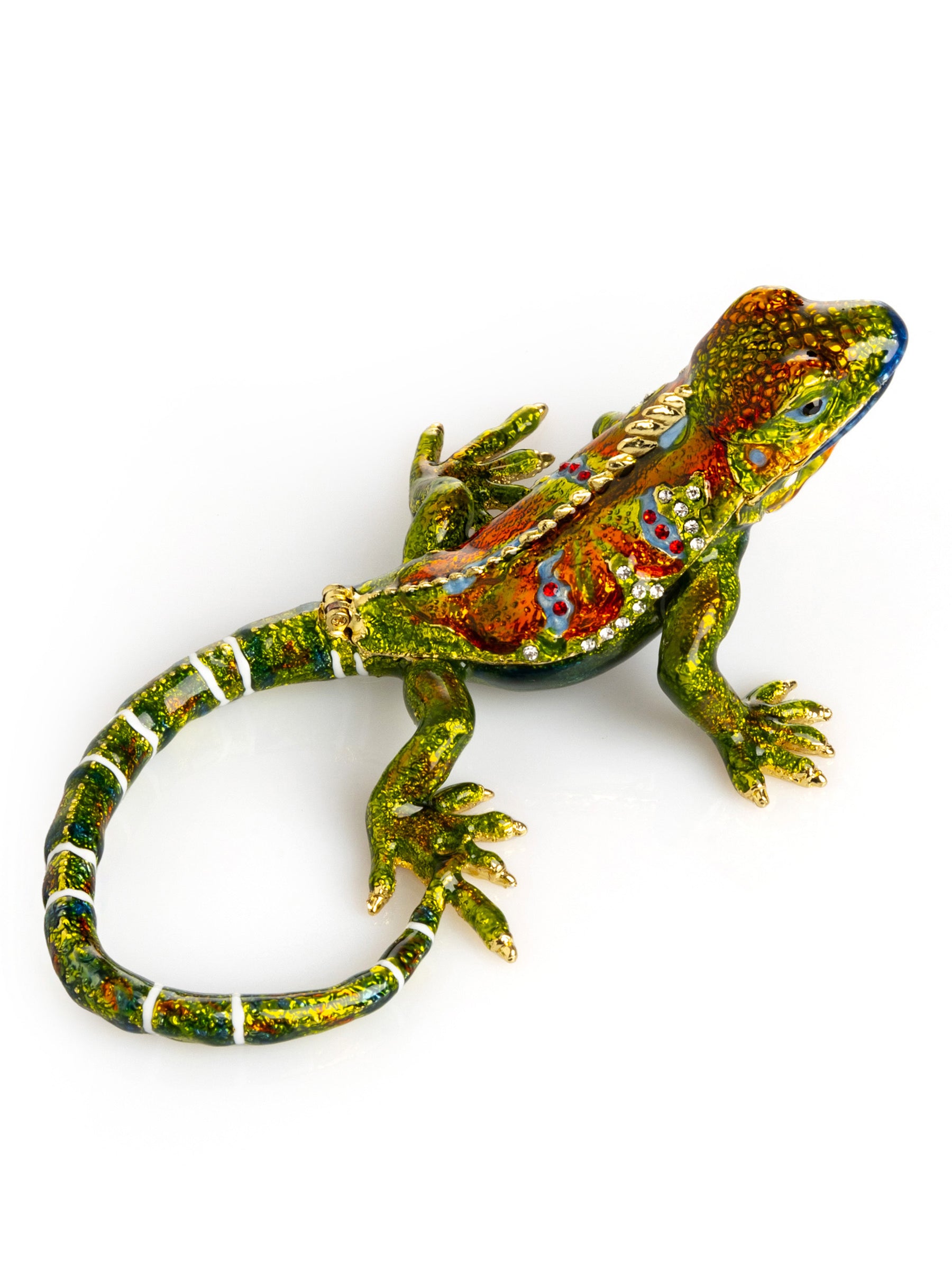 Green Iguana