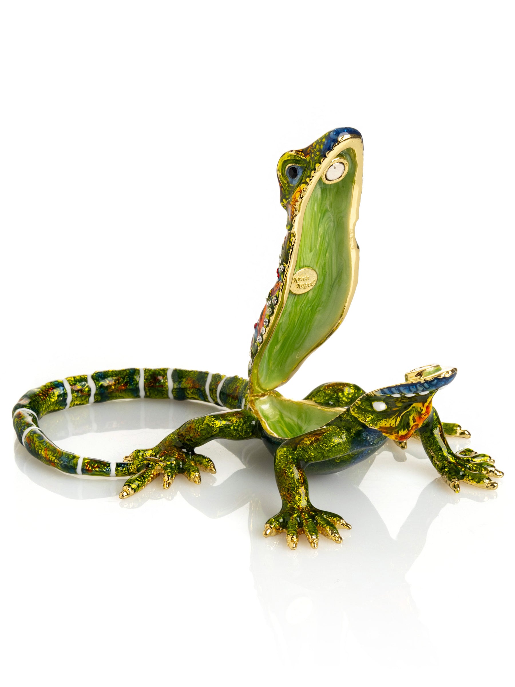 Green Iguana