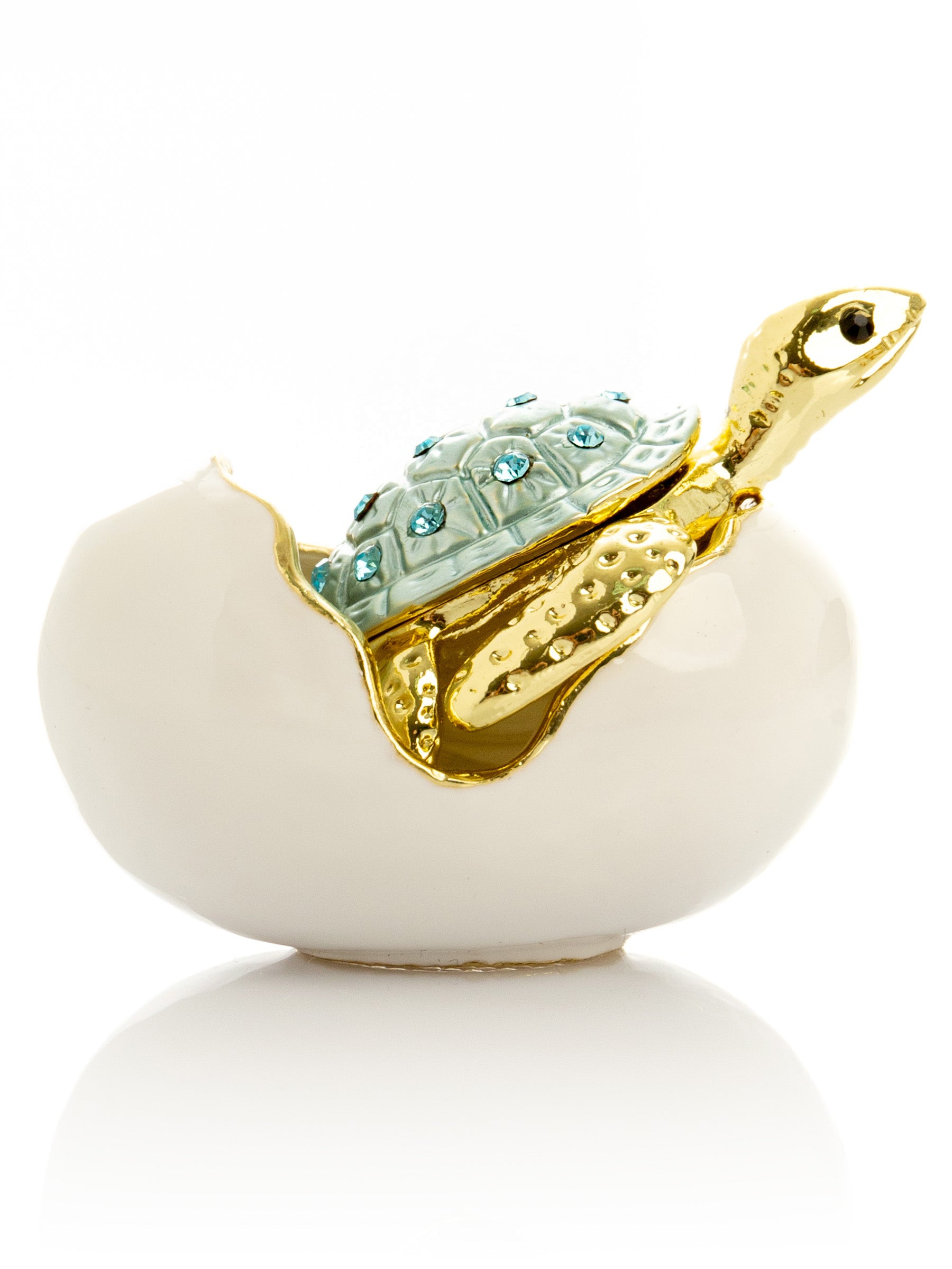 Keren Kopal Turtle hatching from an egg