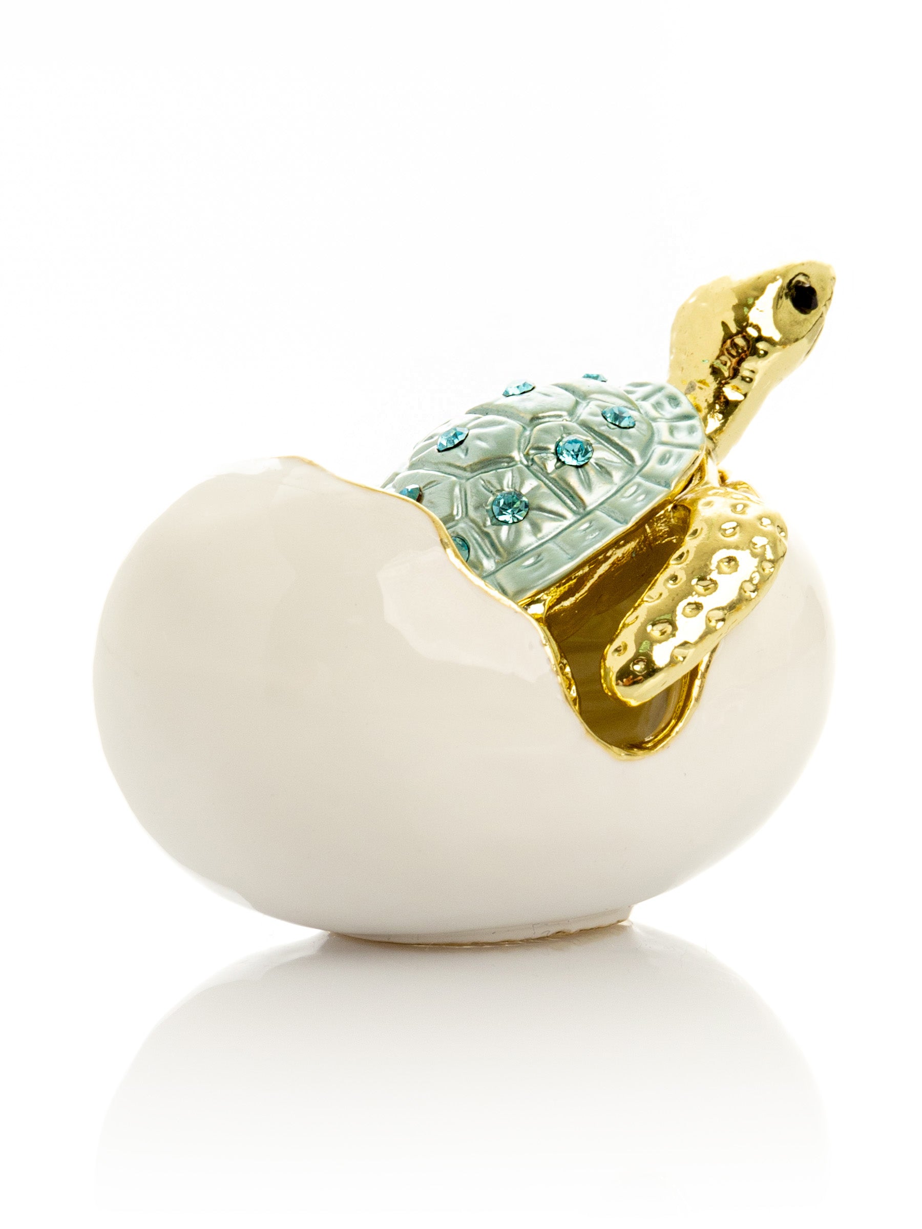 Keren Kopal Turtle hatching from an egg