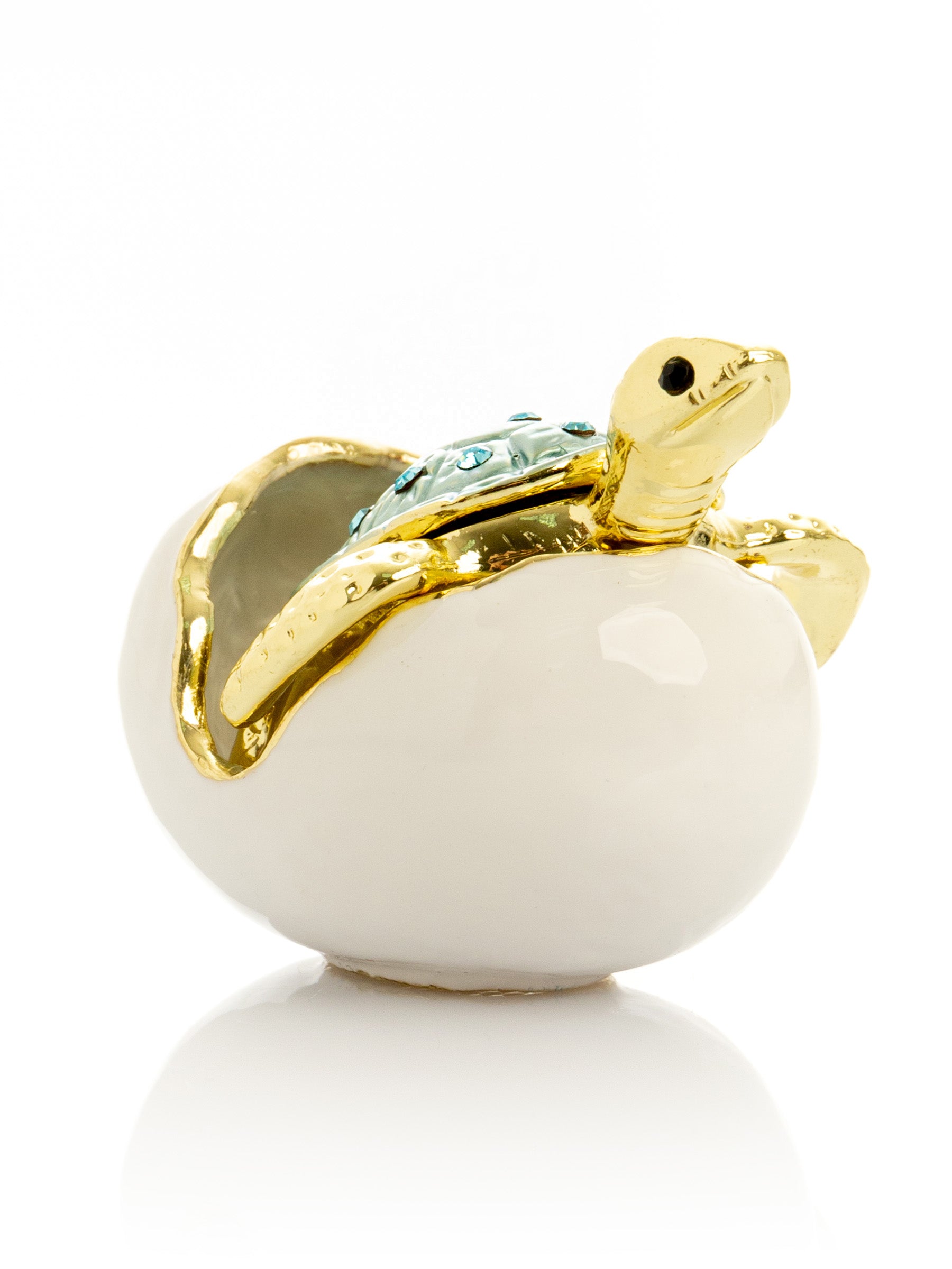 Keren Kopal Turtle hatching from an egg