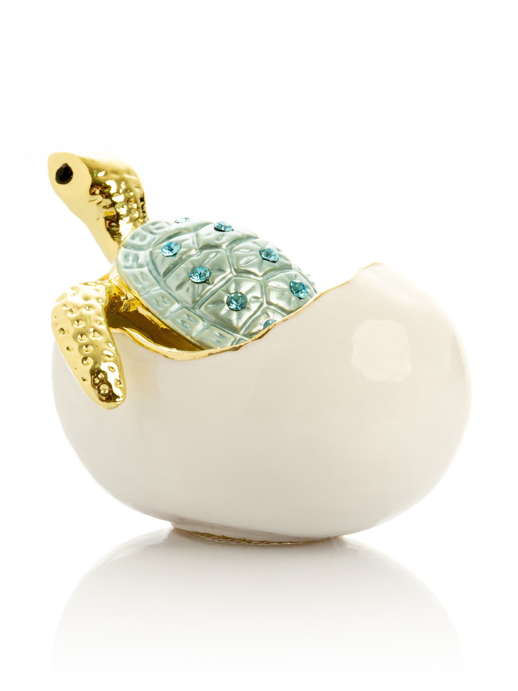 Keren Kopal Turtle hatching from an egg