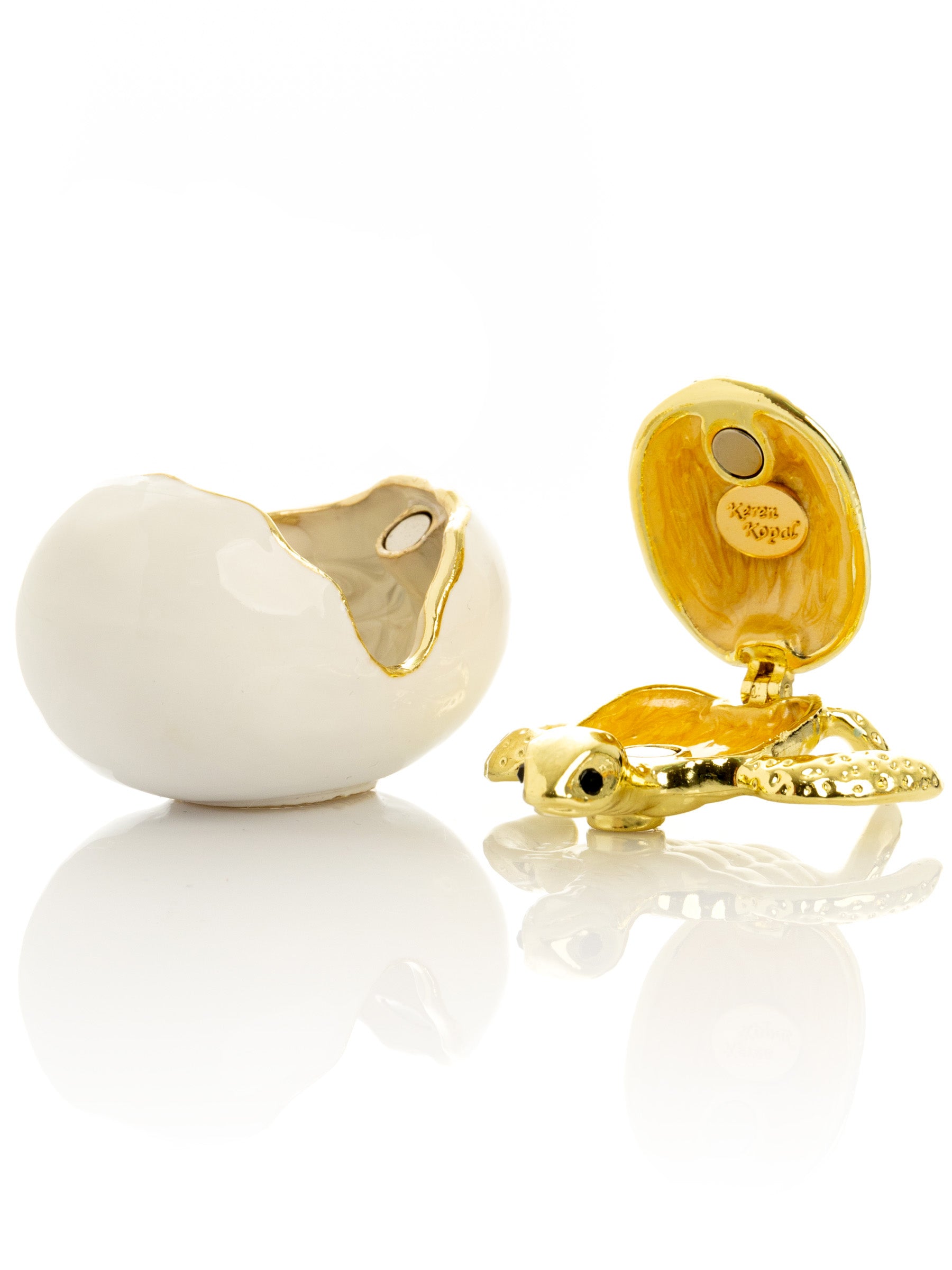 Keren Kopal Turtle hatching from an egg