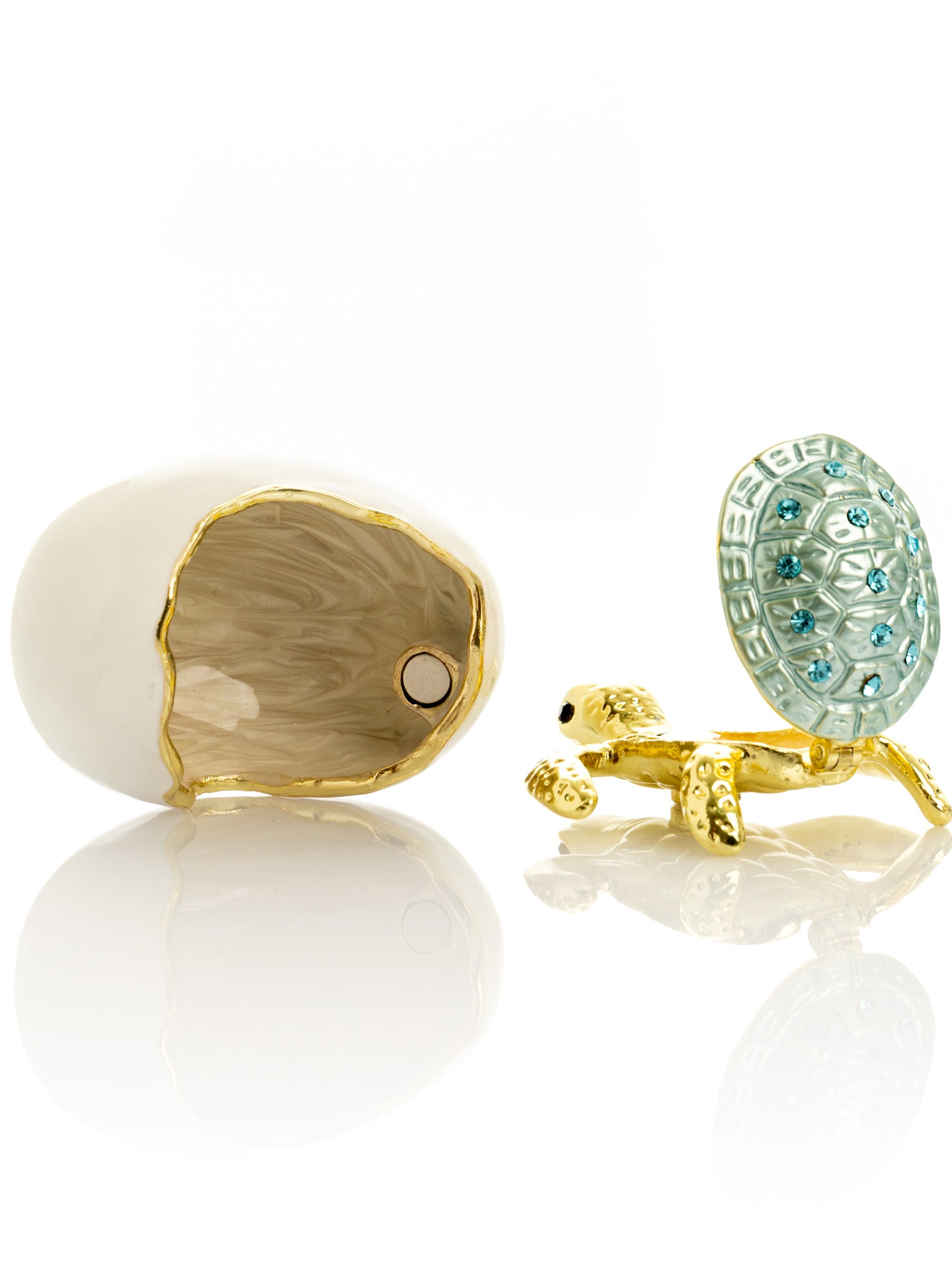 Keren Kopal Turtle hatching from an egg