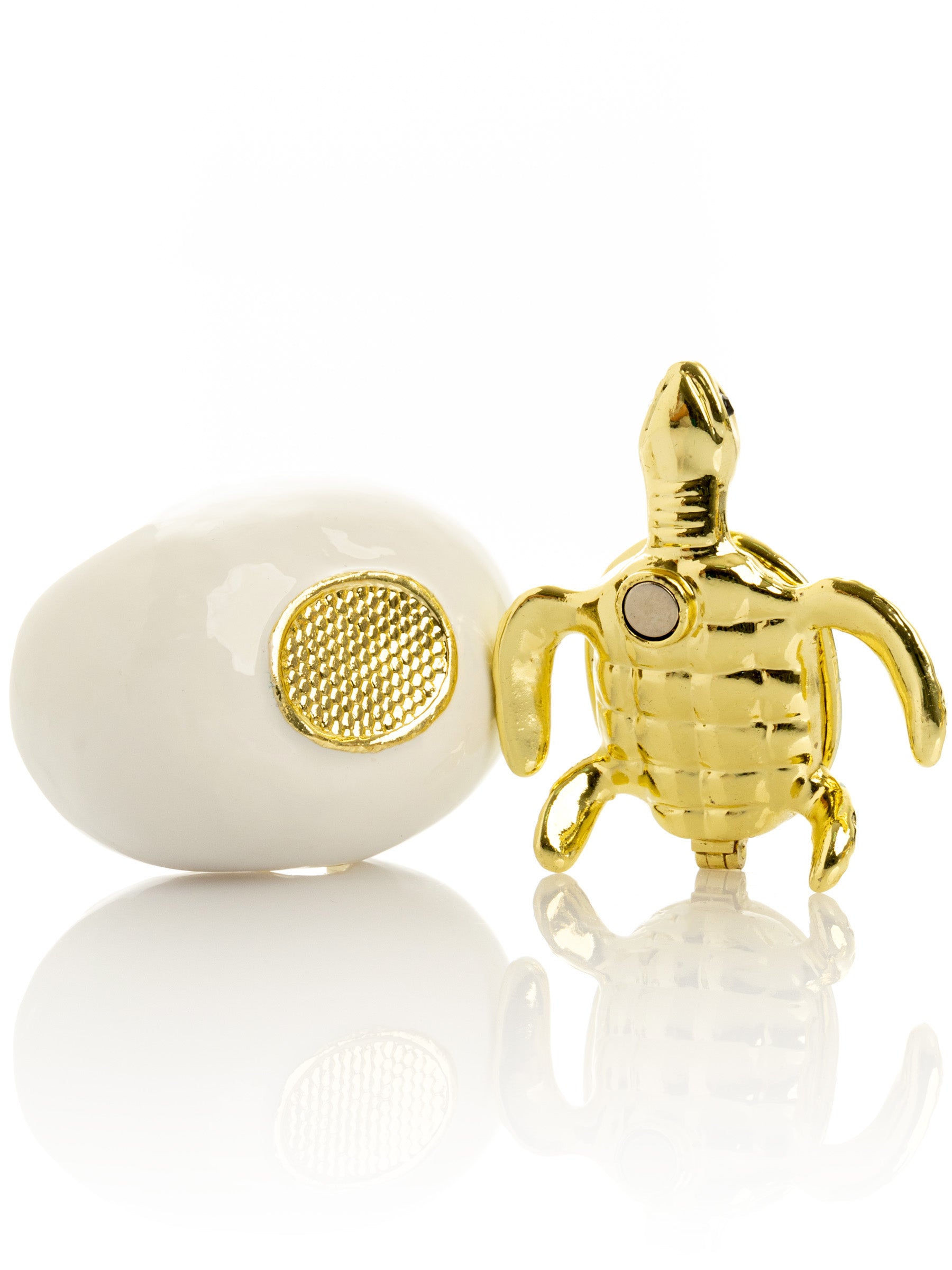 Keren Kopal Turtle hatching from an egg