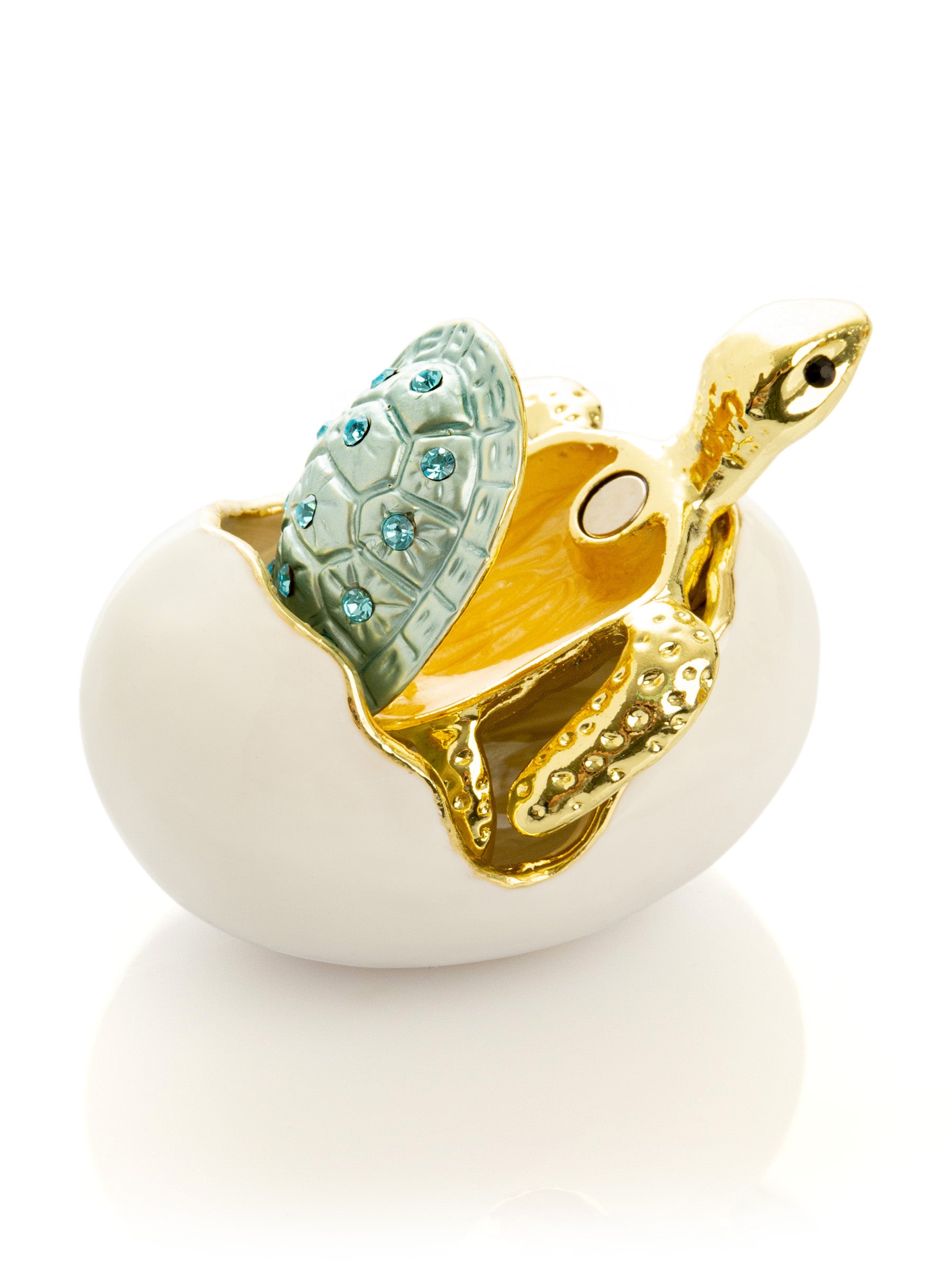 Keren Kopal Turtle hatching from an egg