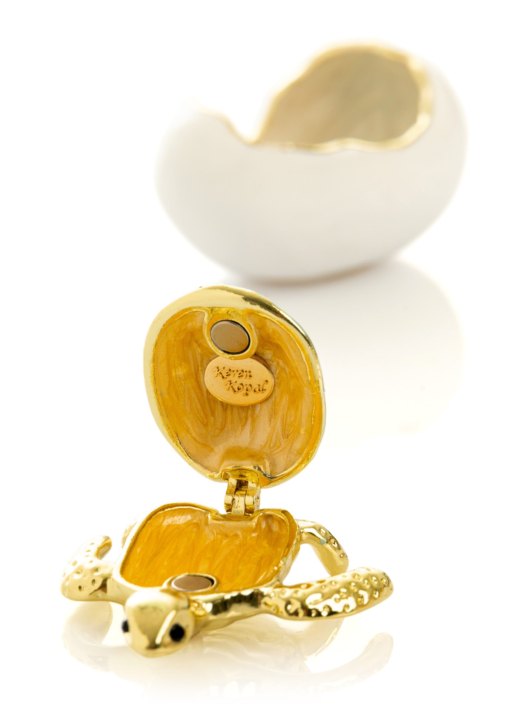 Keren Kopal Turtle hatching from an egg