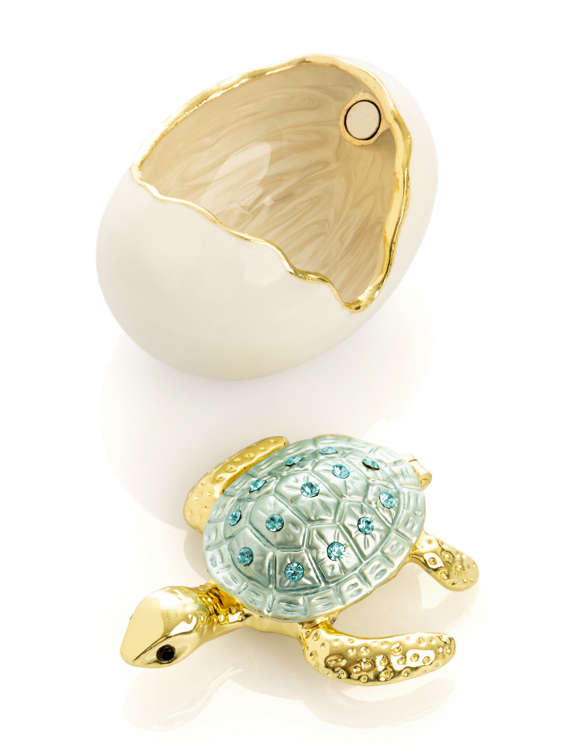 Keren Kopal Turtle hatching from an egg