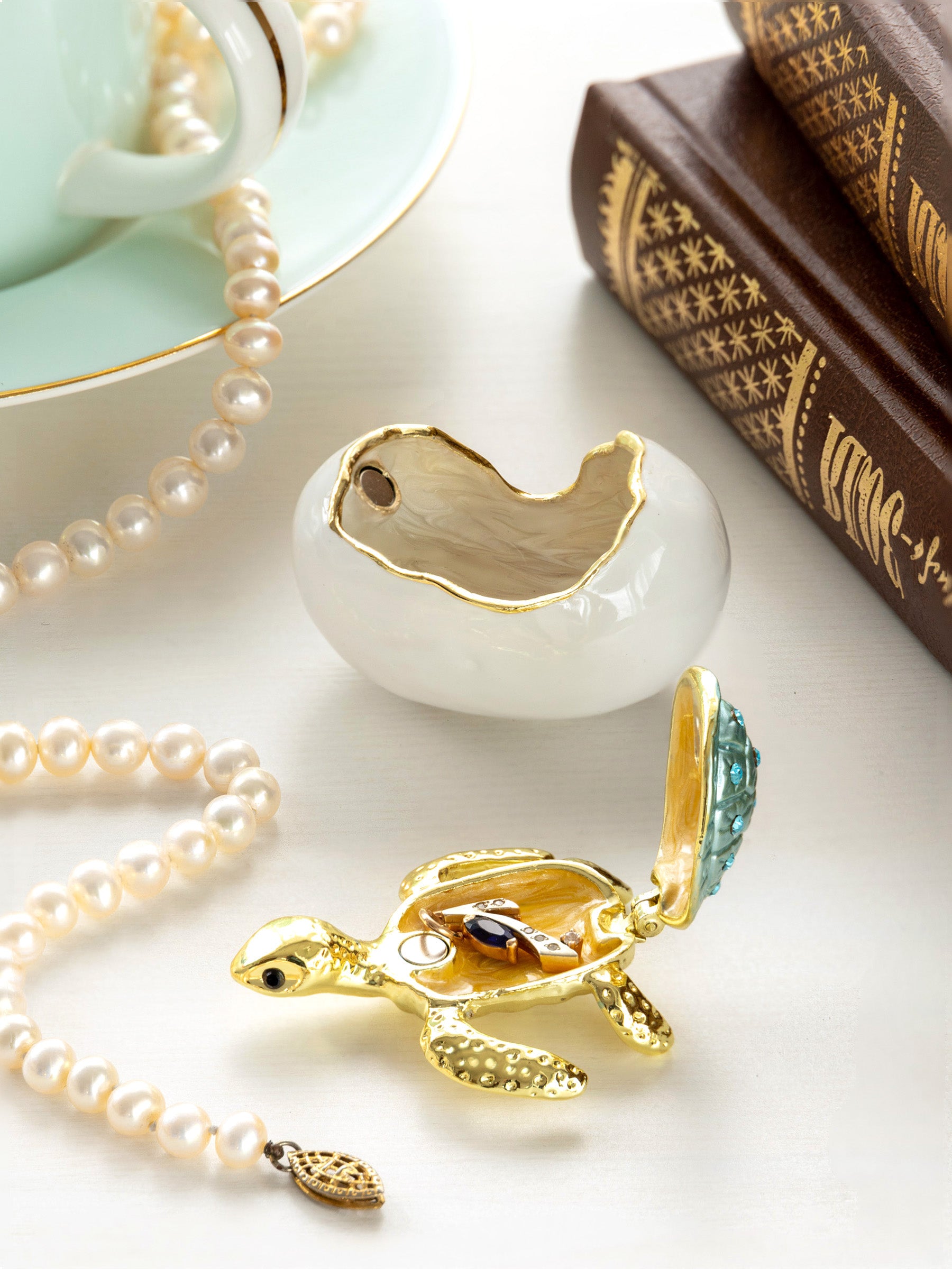 Keren Kopal Turtle hatching from an egg