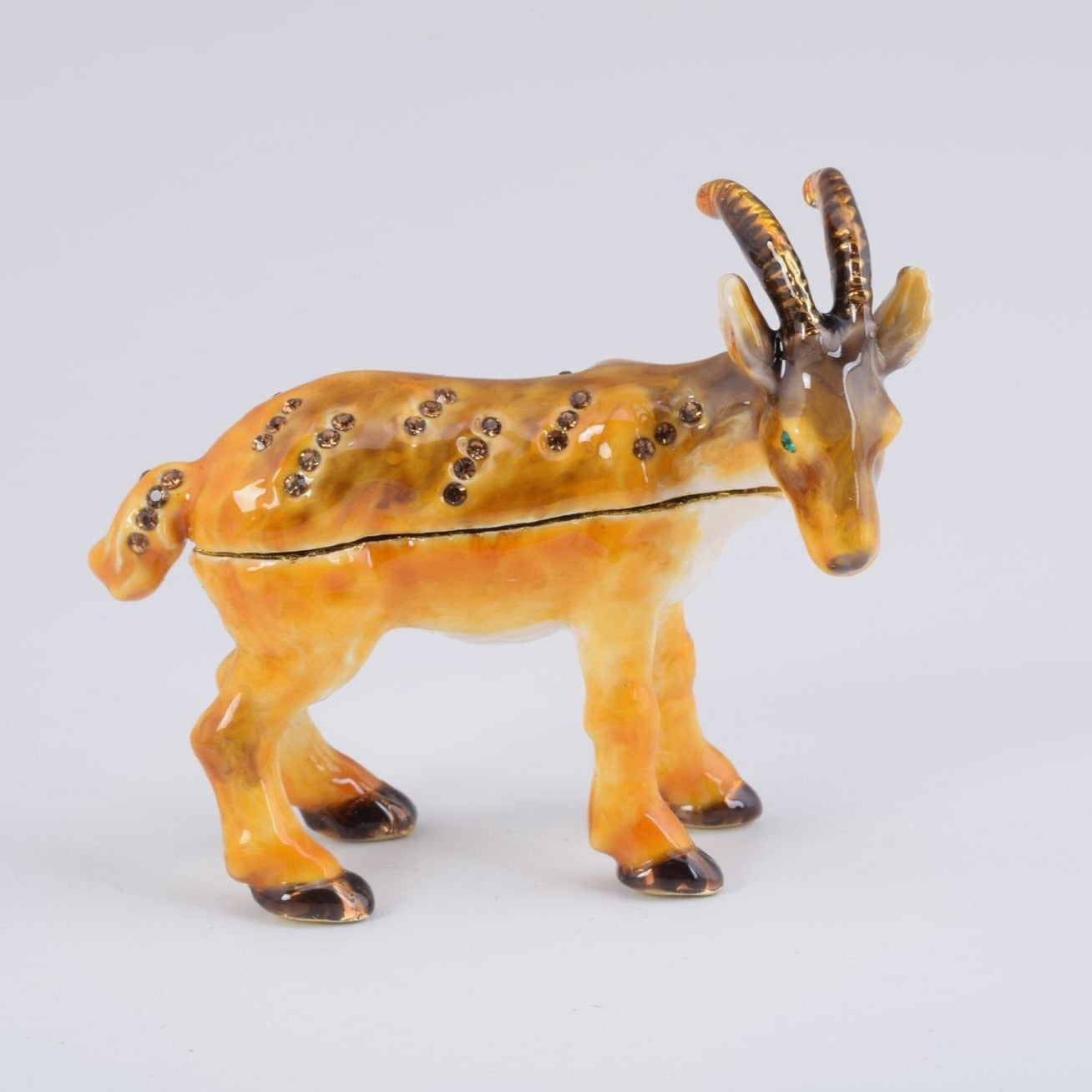 Keren Kopal Ram goat