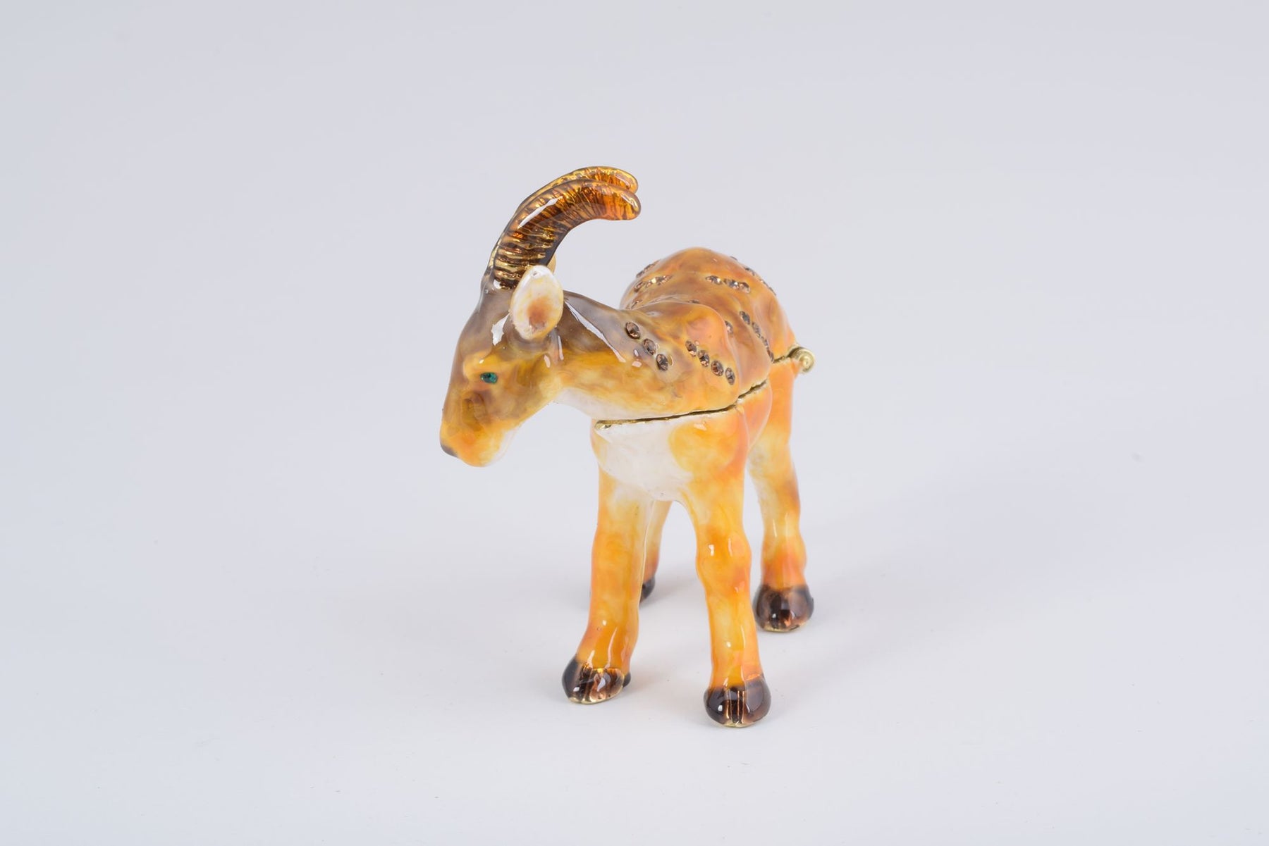 Keren Kopal Ram goat