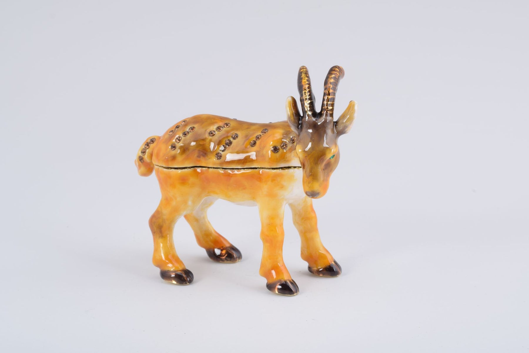 Keren Kopal Ram goat