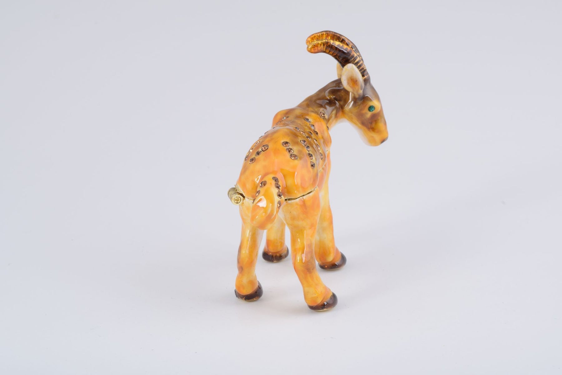 Keren Kopal Ram goat