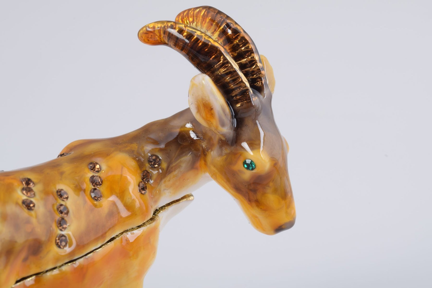 Keren Kopal Ram goat