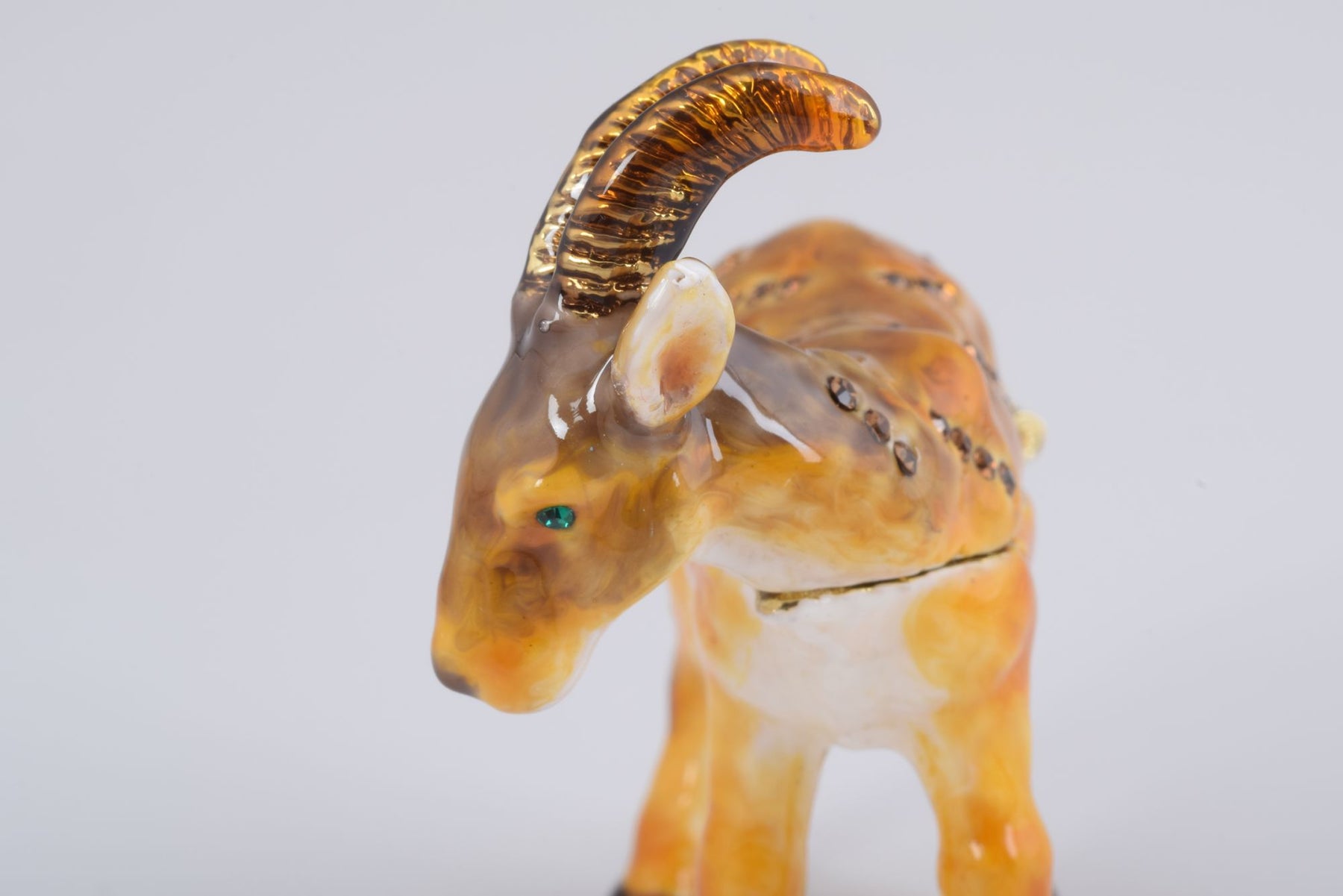 Keren Kopal Ram goat