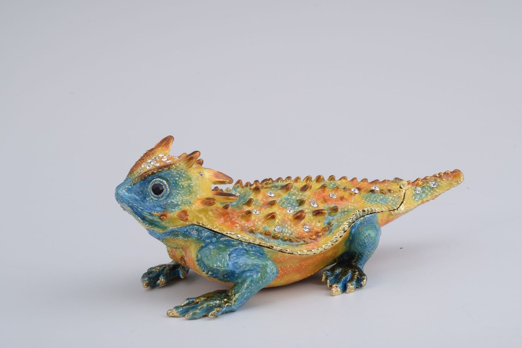 Keren Kopal Blue & Yellow Agama Dragon