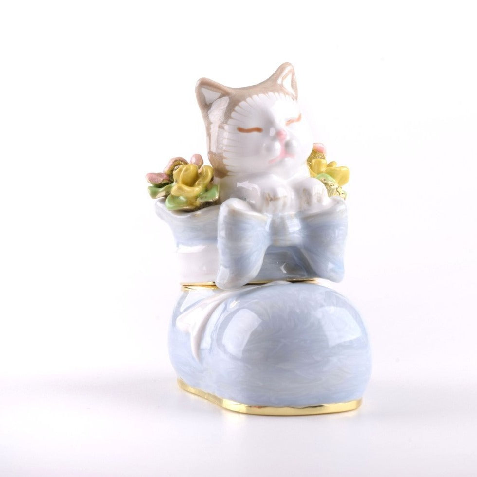 Keren Kopal Cat in a Shoe