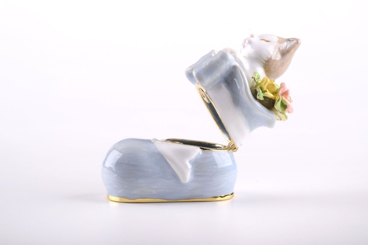 Keren Kopal Cat in a Shoe