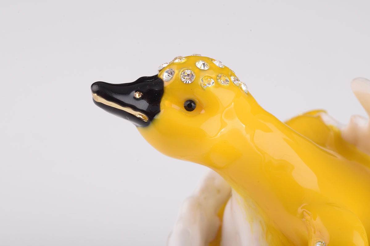 Keren Kopal Duck Coming out of Eggshell