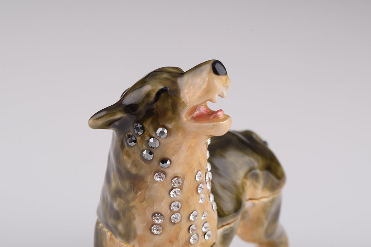 Keren Kopal Brown Wolf