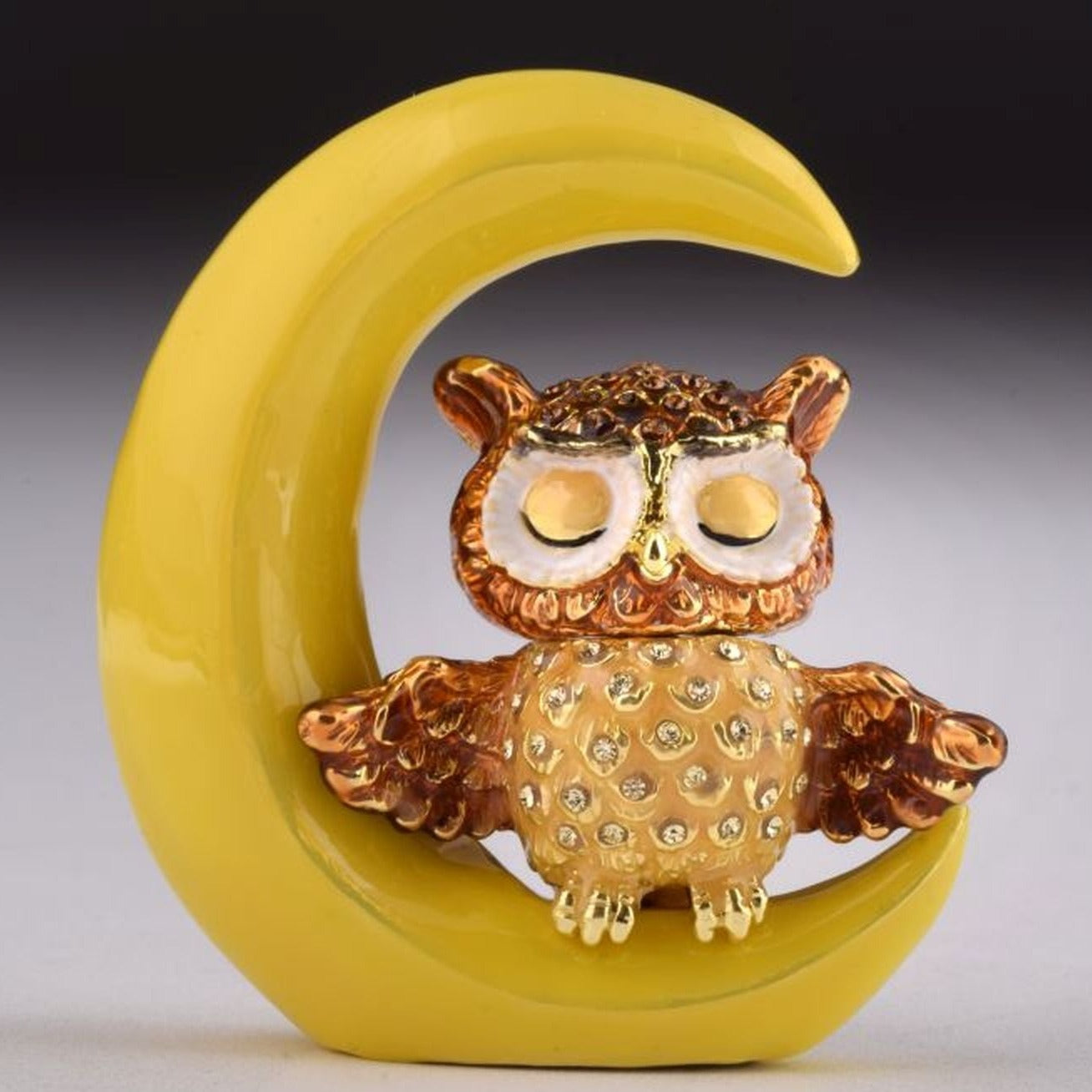 Keren Kopal Owl Sleeping on Moon