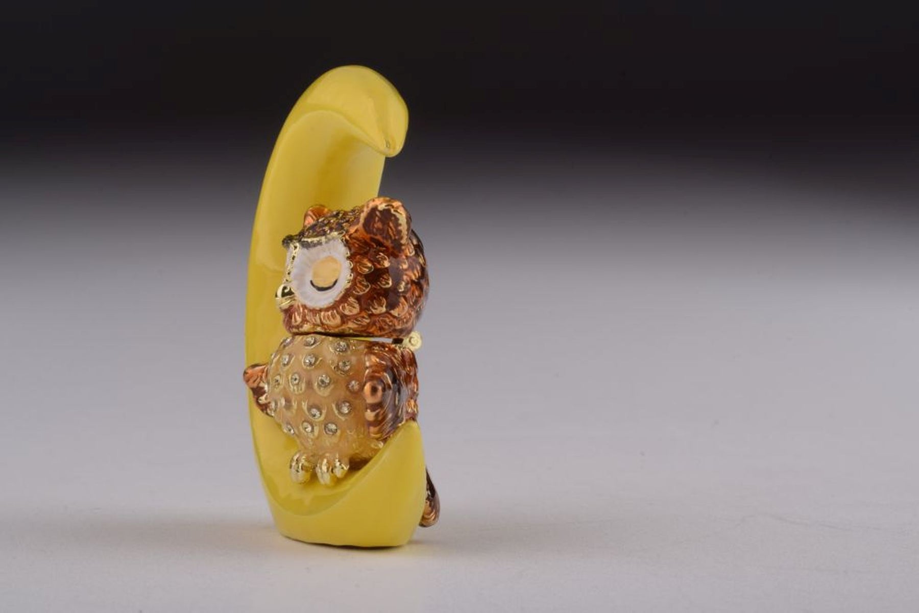 Keren Kopal Owl Sleeping on Moon