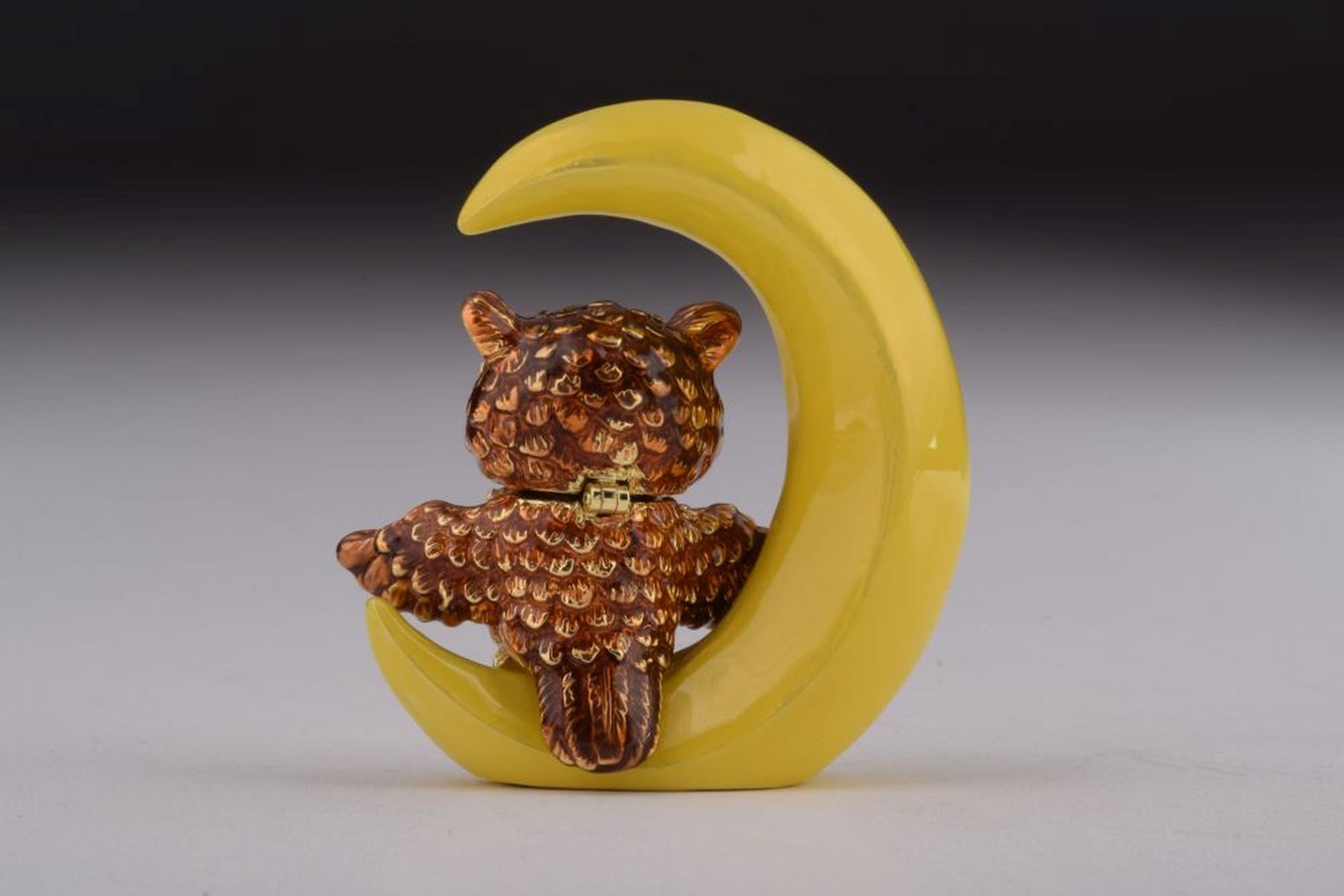 Keren Kopal Owl Sleeping on Moon