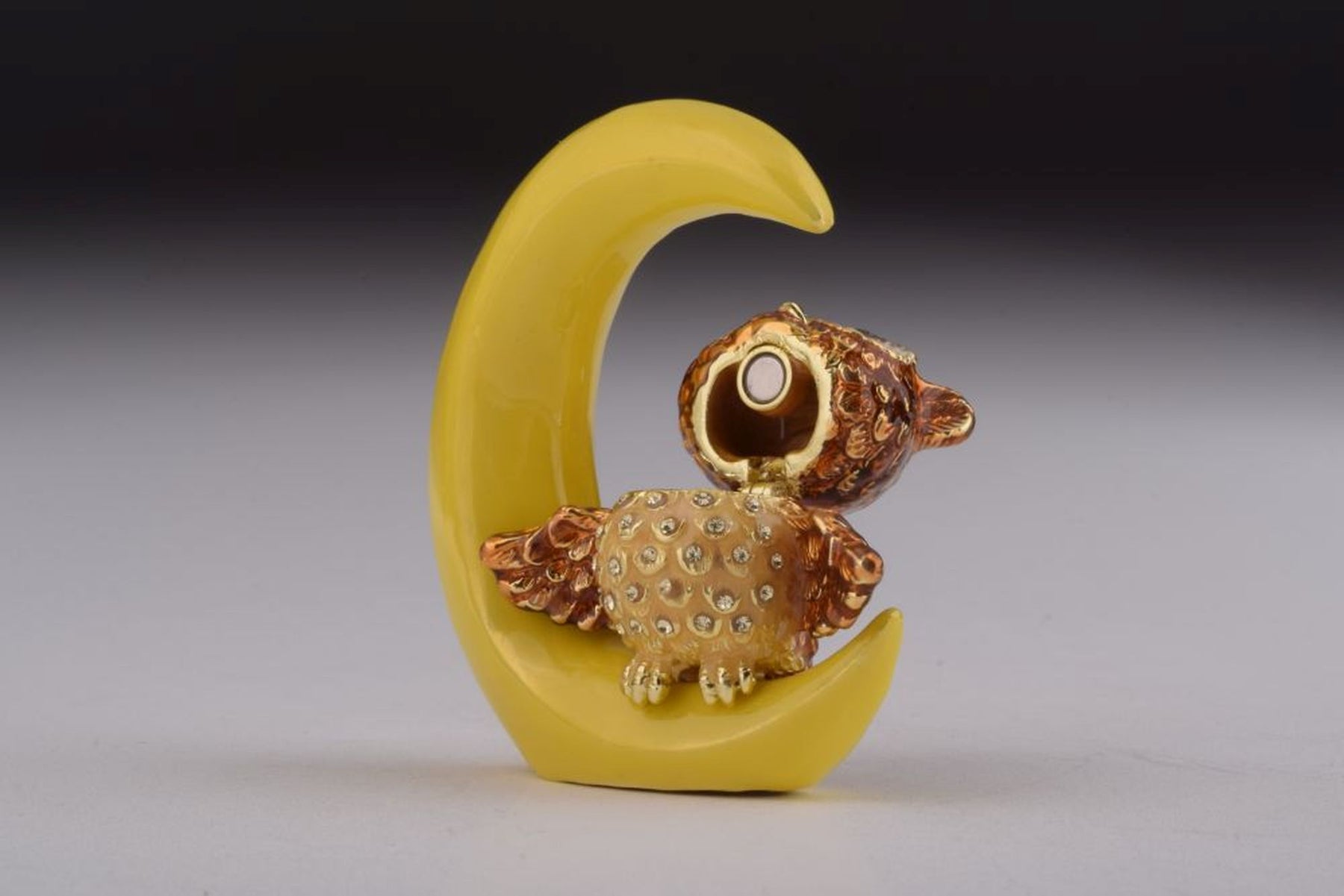 Keren Kopal Owl Sleeping on Moon