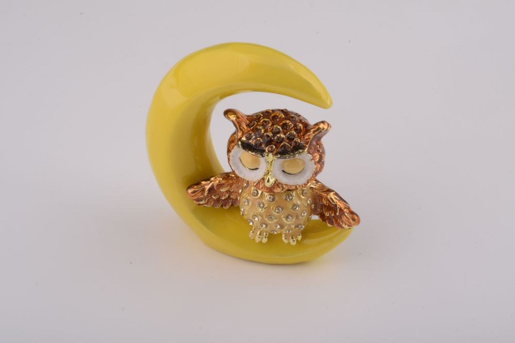 Keren Kopal Owl Sleeping on Moon