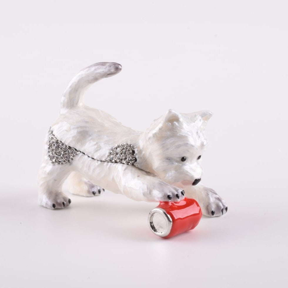 Keren Kopal Dog Playing with Can