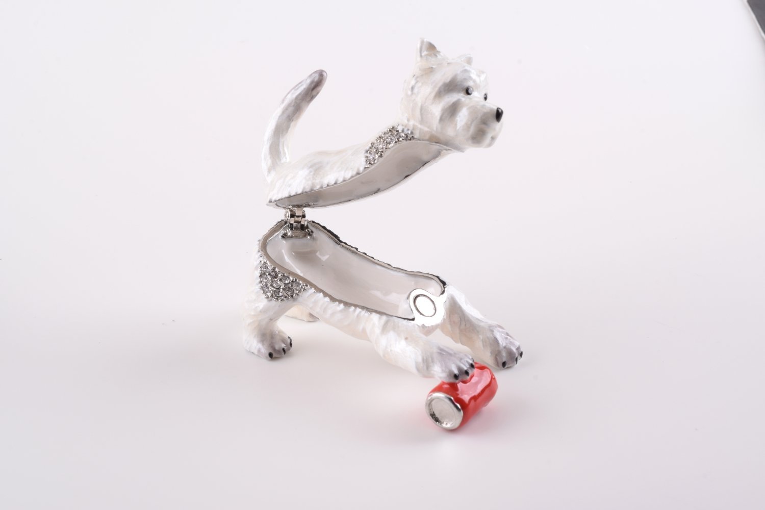 Keren Kopal Dog Playing with Can