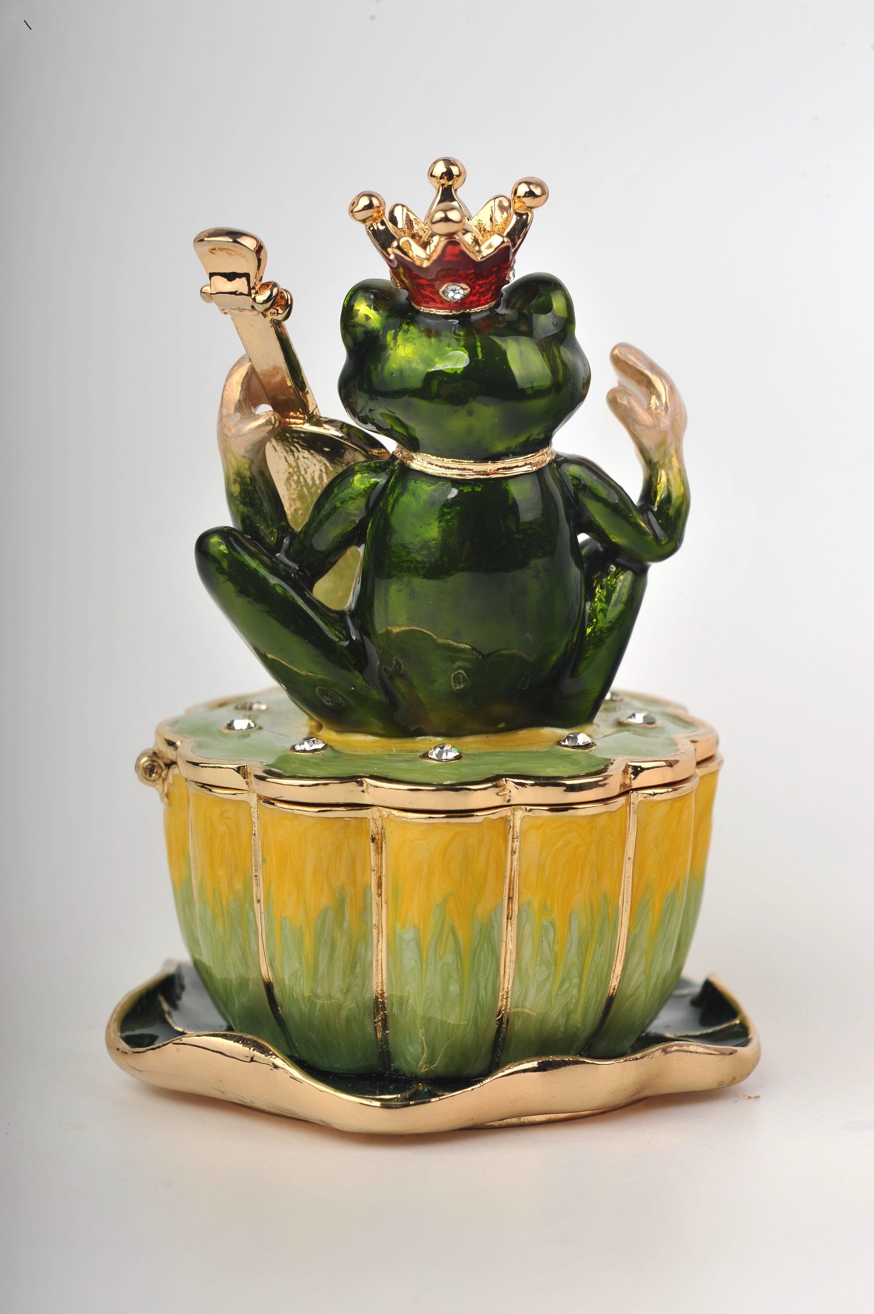 Keren Kopal Frog Playing a Guitar