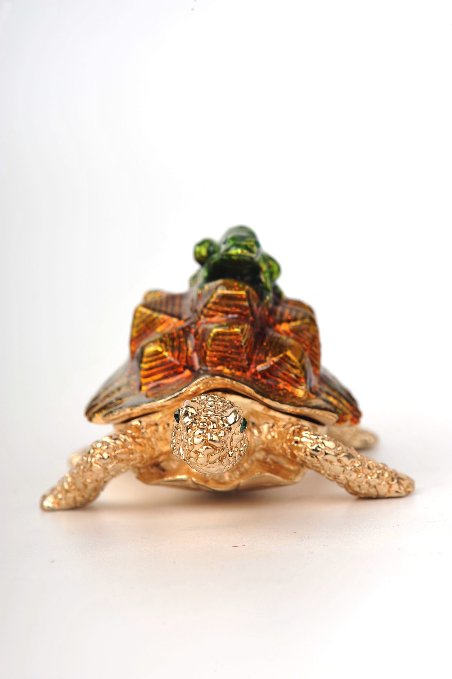 Keren Kopal Frog on a Turtle