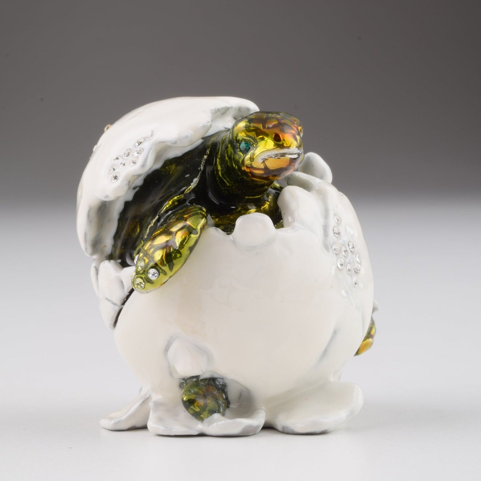 Keren Kopal Baby Turtle in an Egg Shell