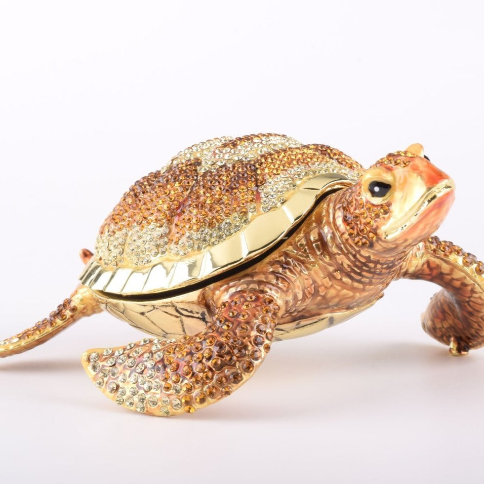 Keren Kopal Large Brown Sea Turtle