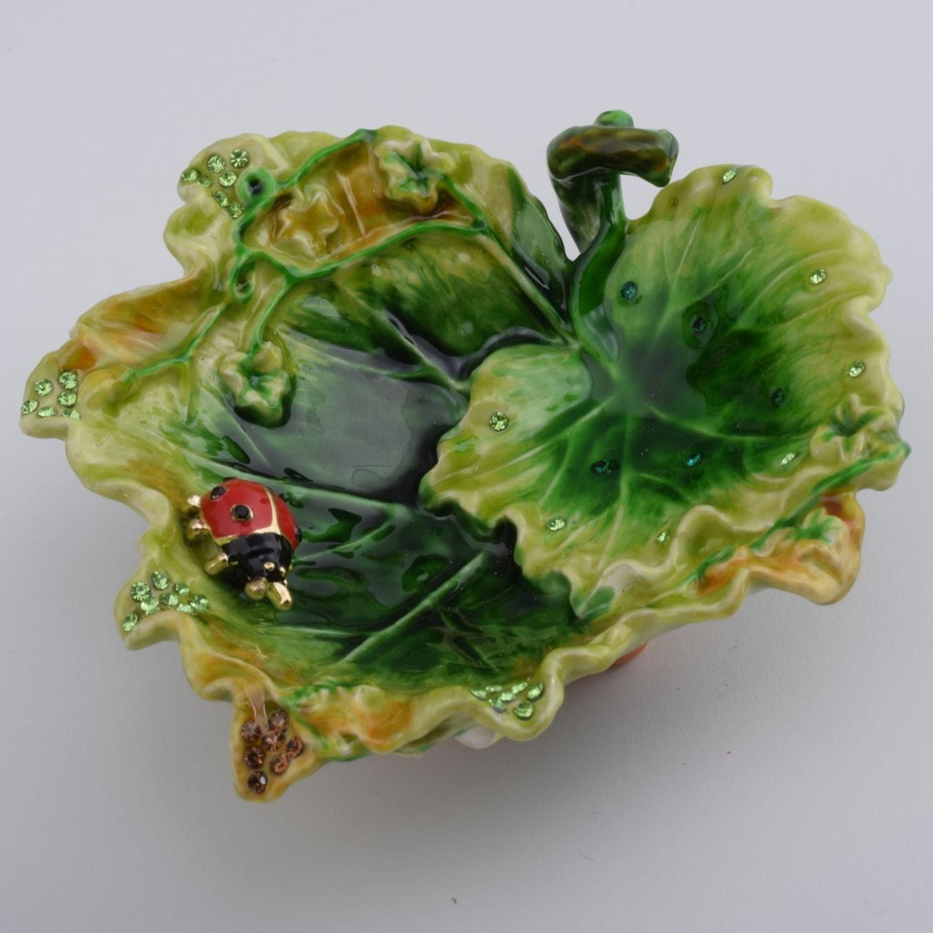 Keren Kopal Lettuce with a Red Ladybug