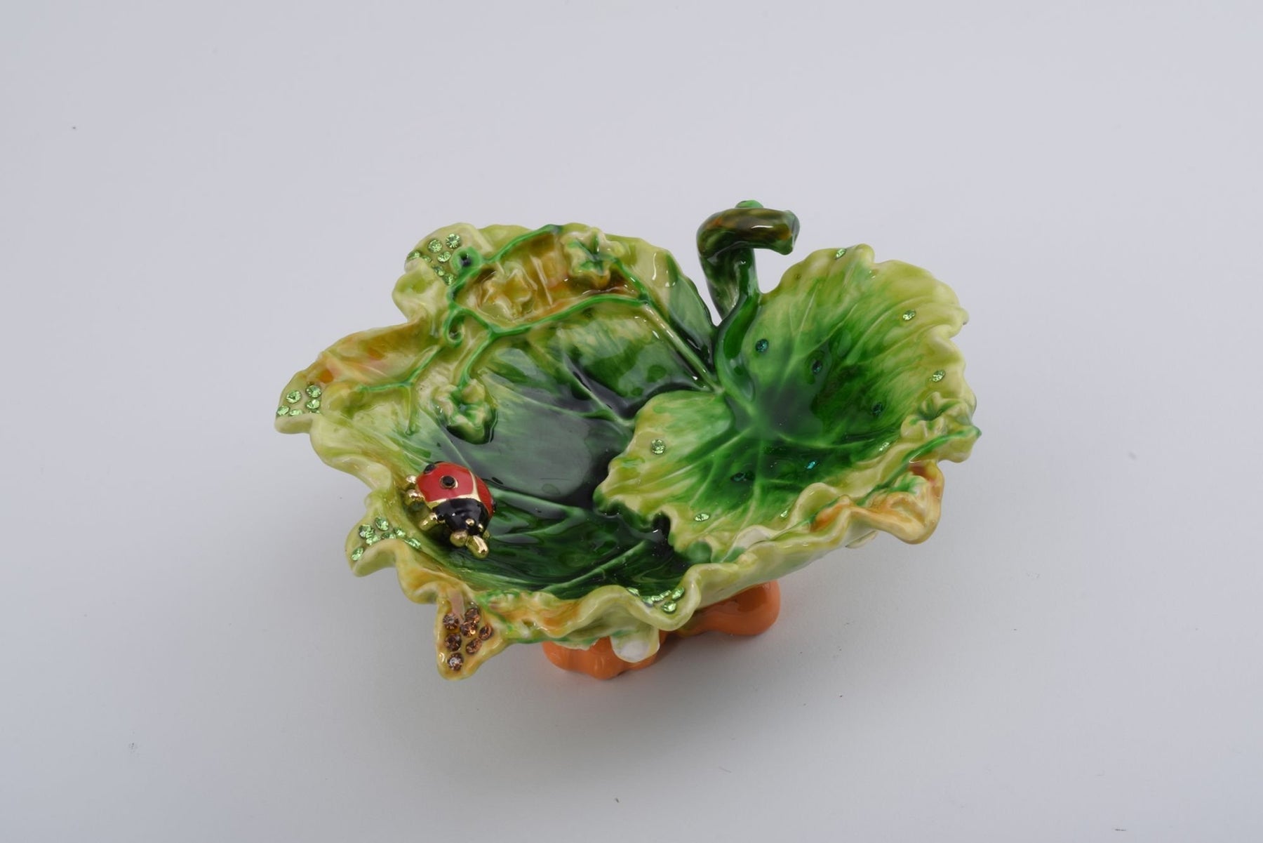 Keren Kopal Lettuce with a Red Ladybug