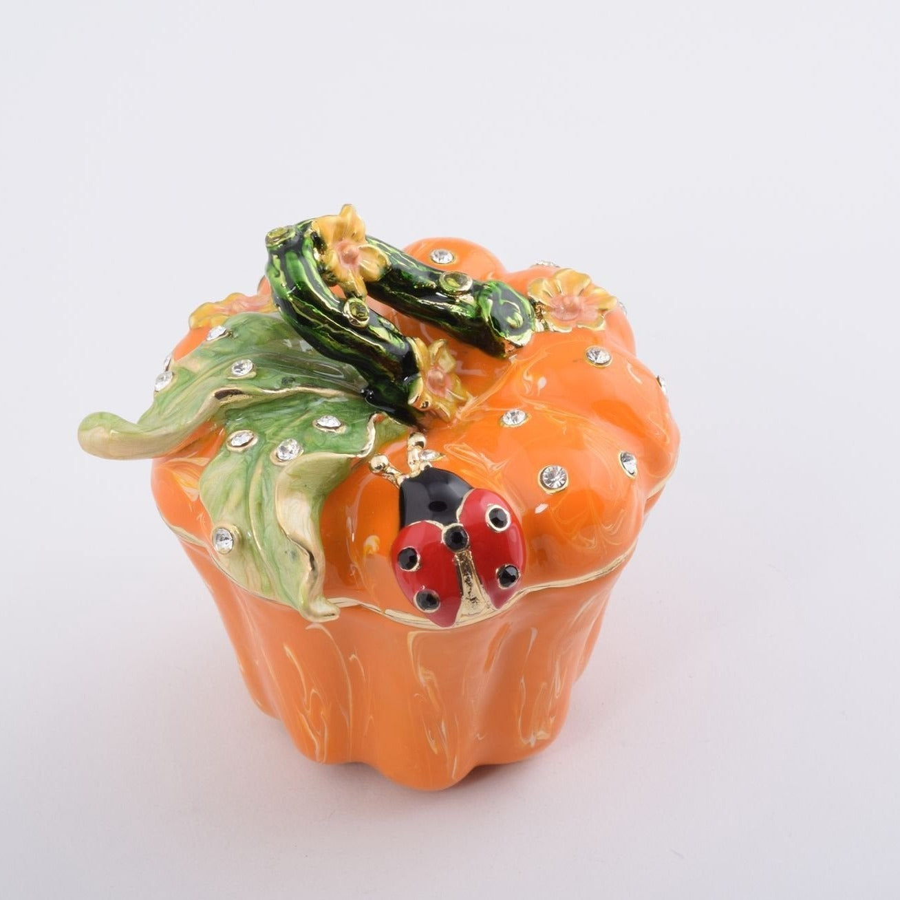 Keren Kopal Pumpkin with a Ladybug Box