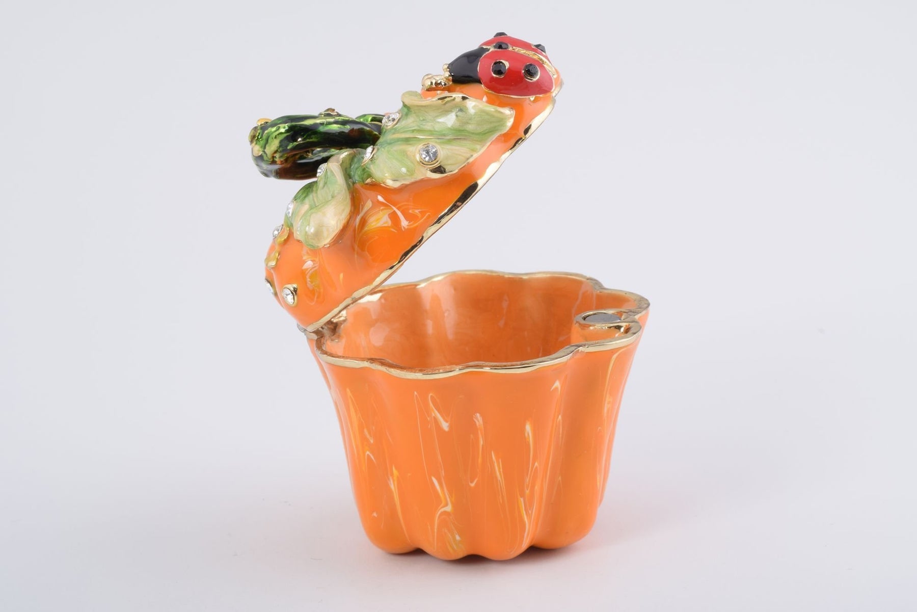 Keren Kopal Pumpkin with a Ladybug Box