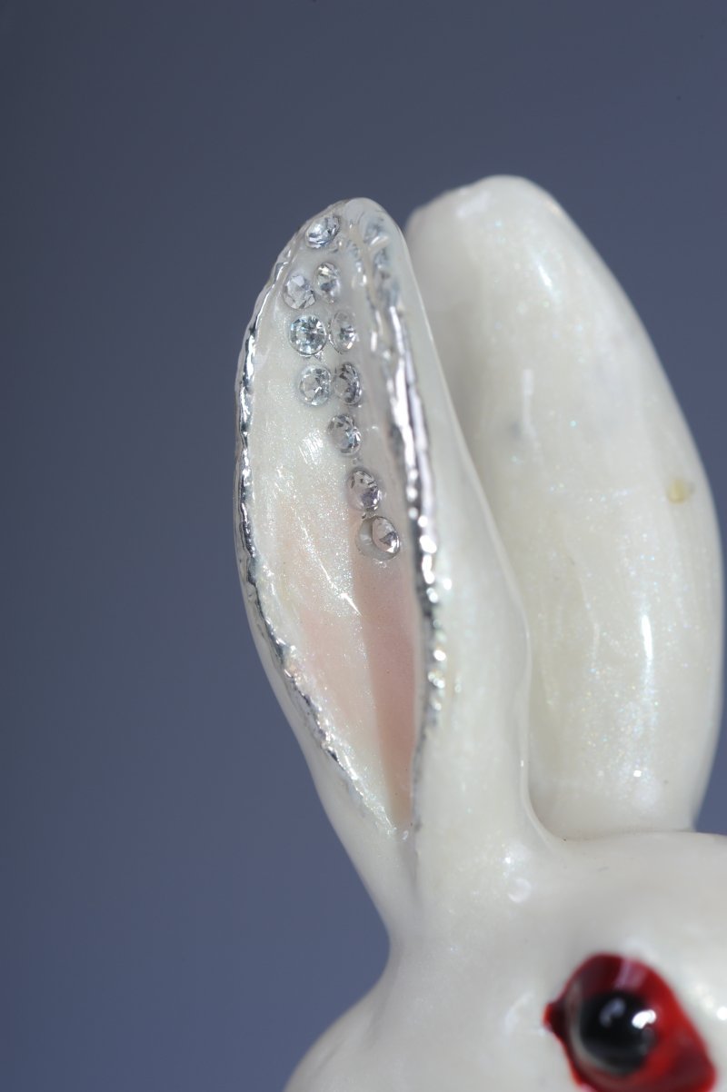 Keren Kopal Rabbit Playing the Violin