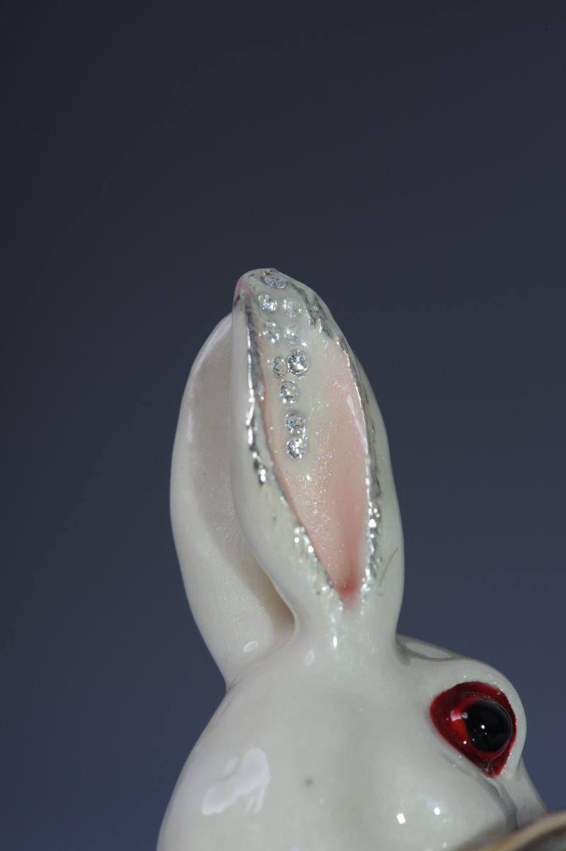 Keren Kopal Rabbit playing the Horn