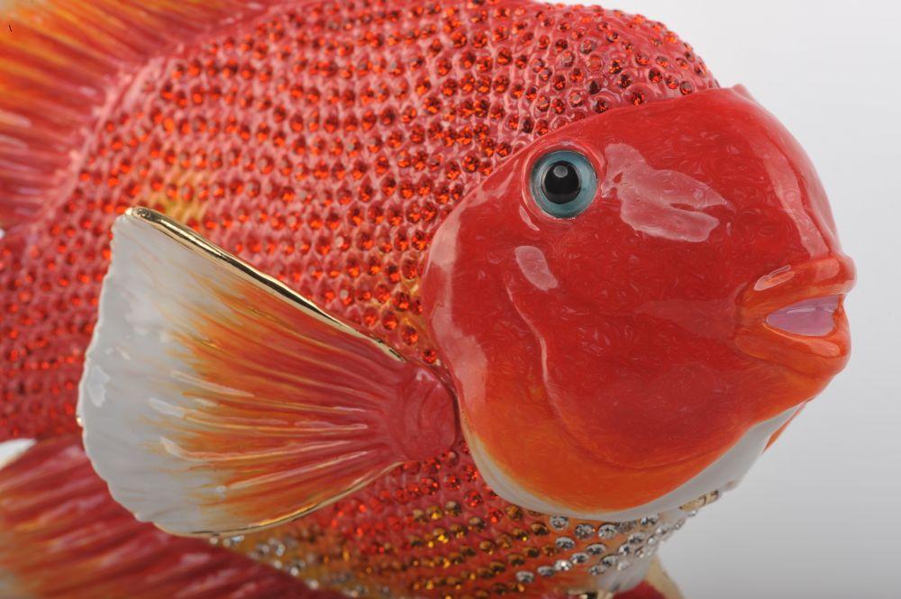 Keren Kopal Red Goldfish