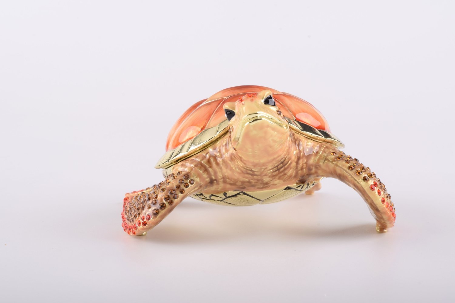 Keren Kopal Red Sea Turtle