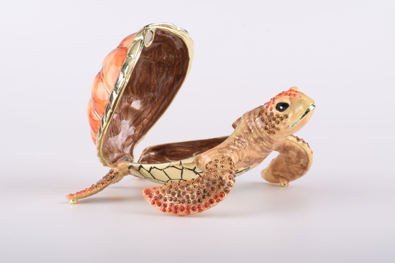 Keren Kopal Red Sea Turtle