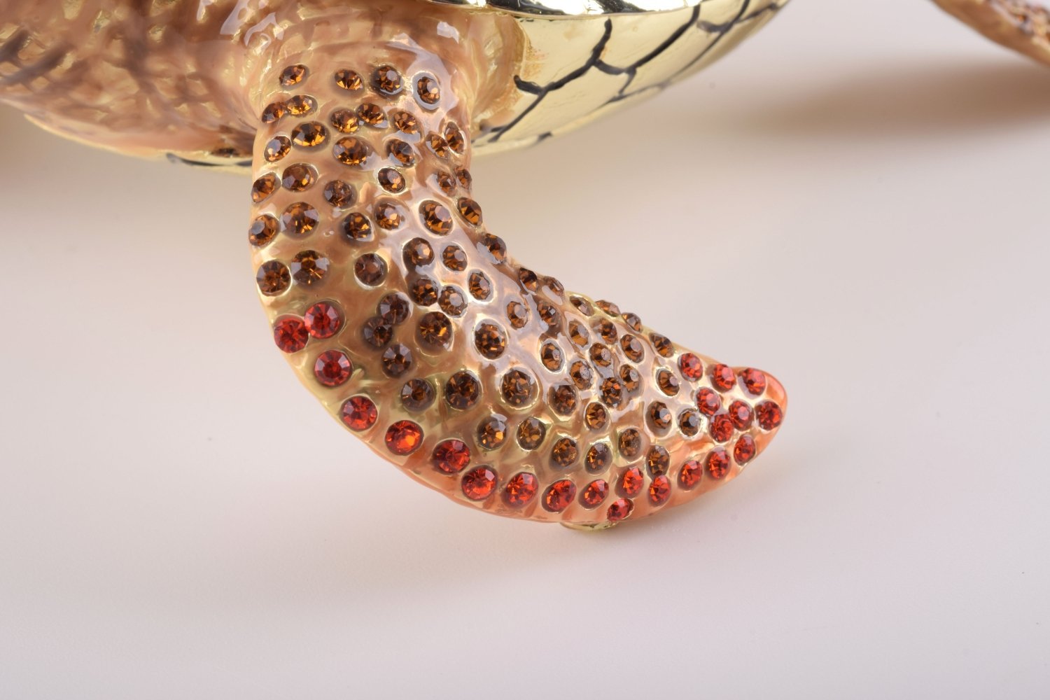 Keren Kopal Red Sea Turtle