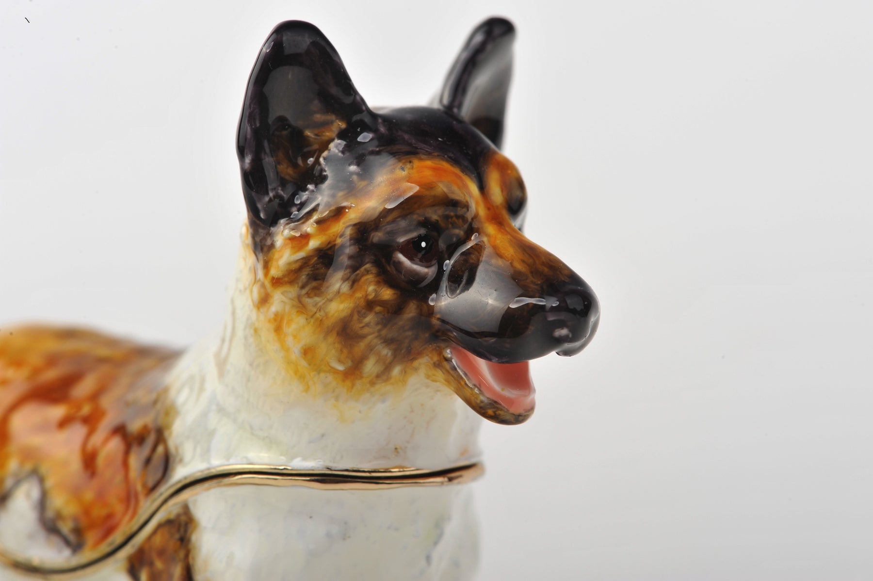 Keren Kopal White Dog with Brown Spots