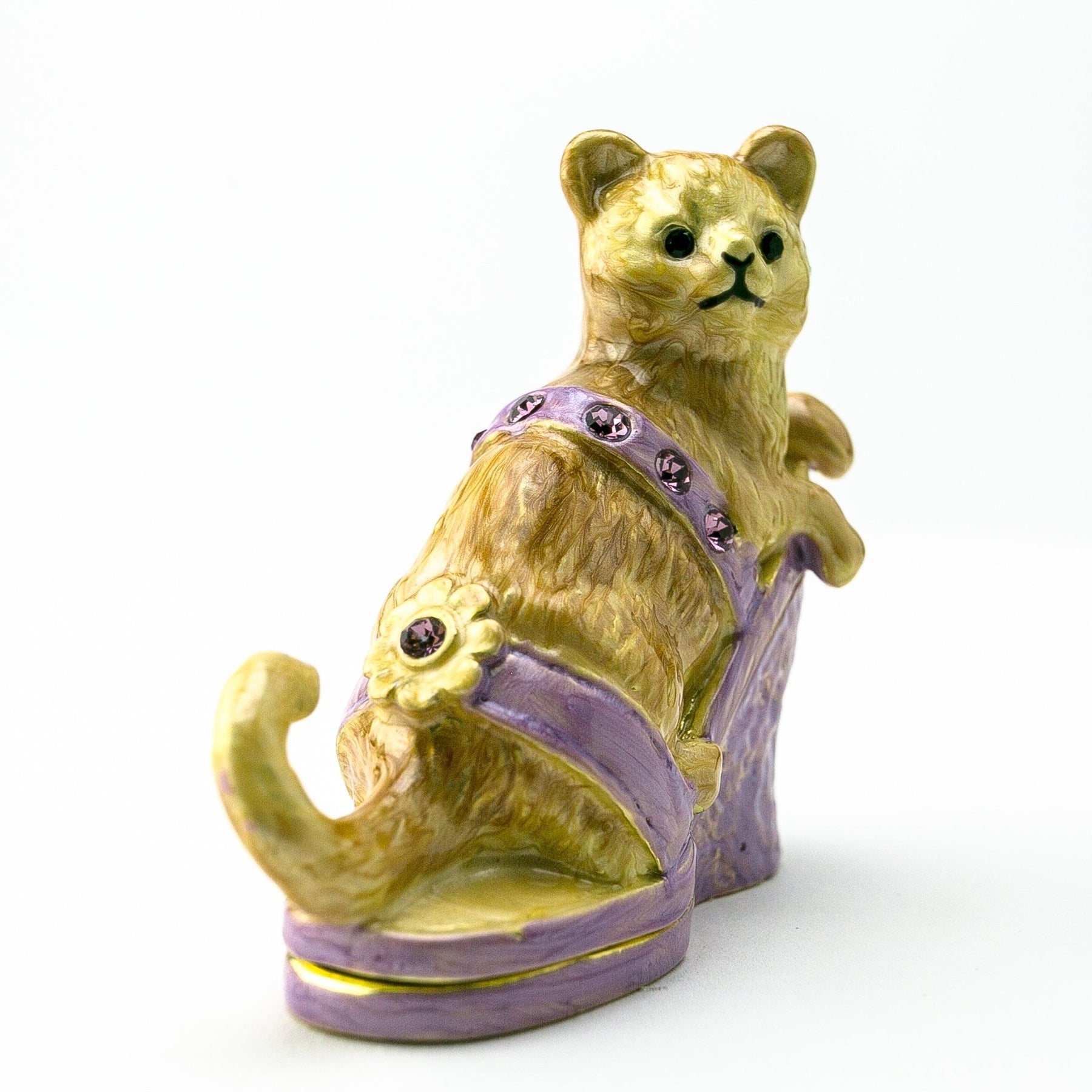 Keren Kopal Cat sitting on an Evening Shoe